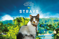 Strays